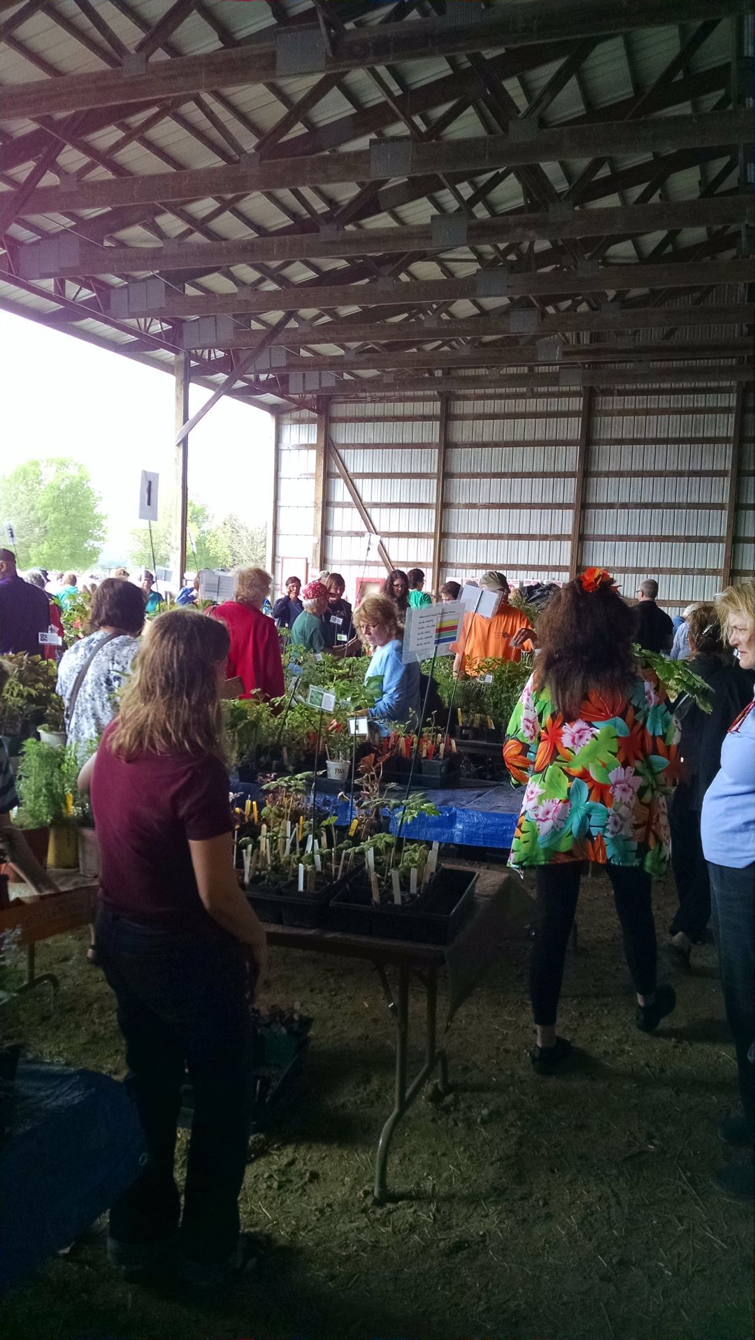 Wisconsin Hardy Plant Society sale